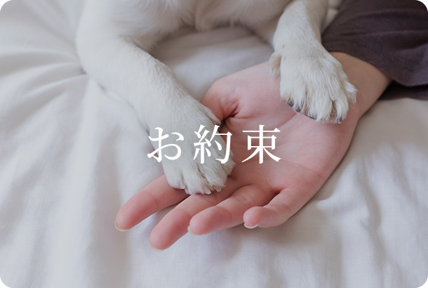 お約束